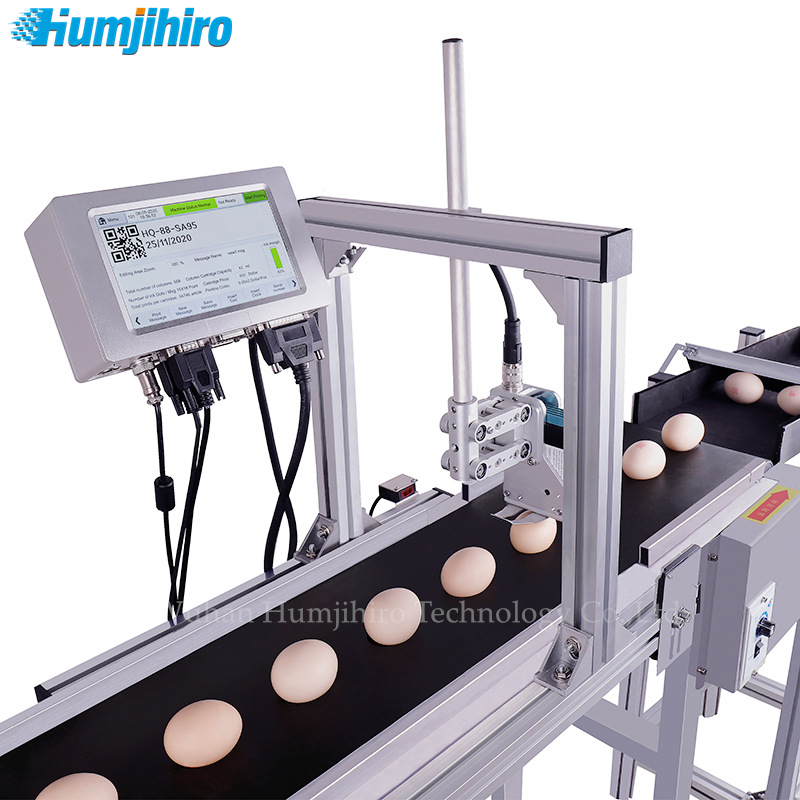 Commercial Printing Products - 잉크젯 프린터 QR 코드 인쇄 계란