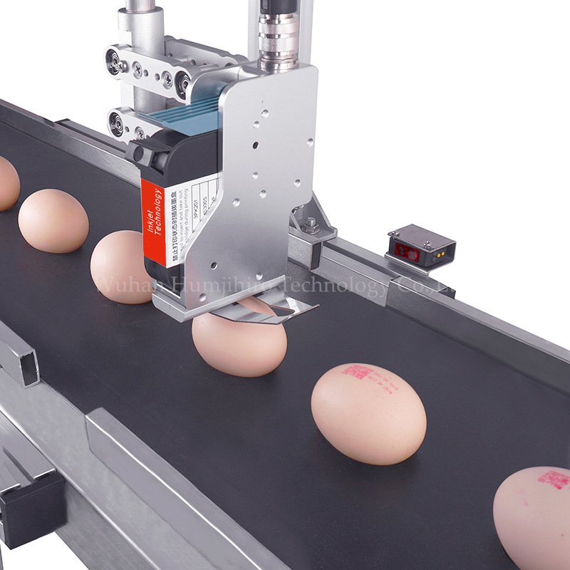 잉크젯 프린터 QR 코드 인쇄 계란 오리 계란 배치 번 - Commercial Printing Products 리뷰 및 가격